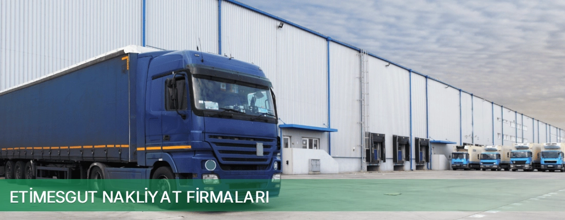 Etimesgut Nakliyat Taşımacılık